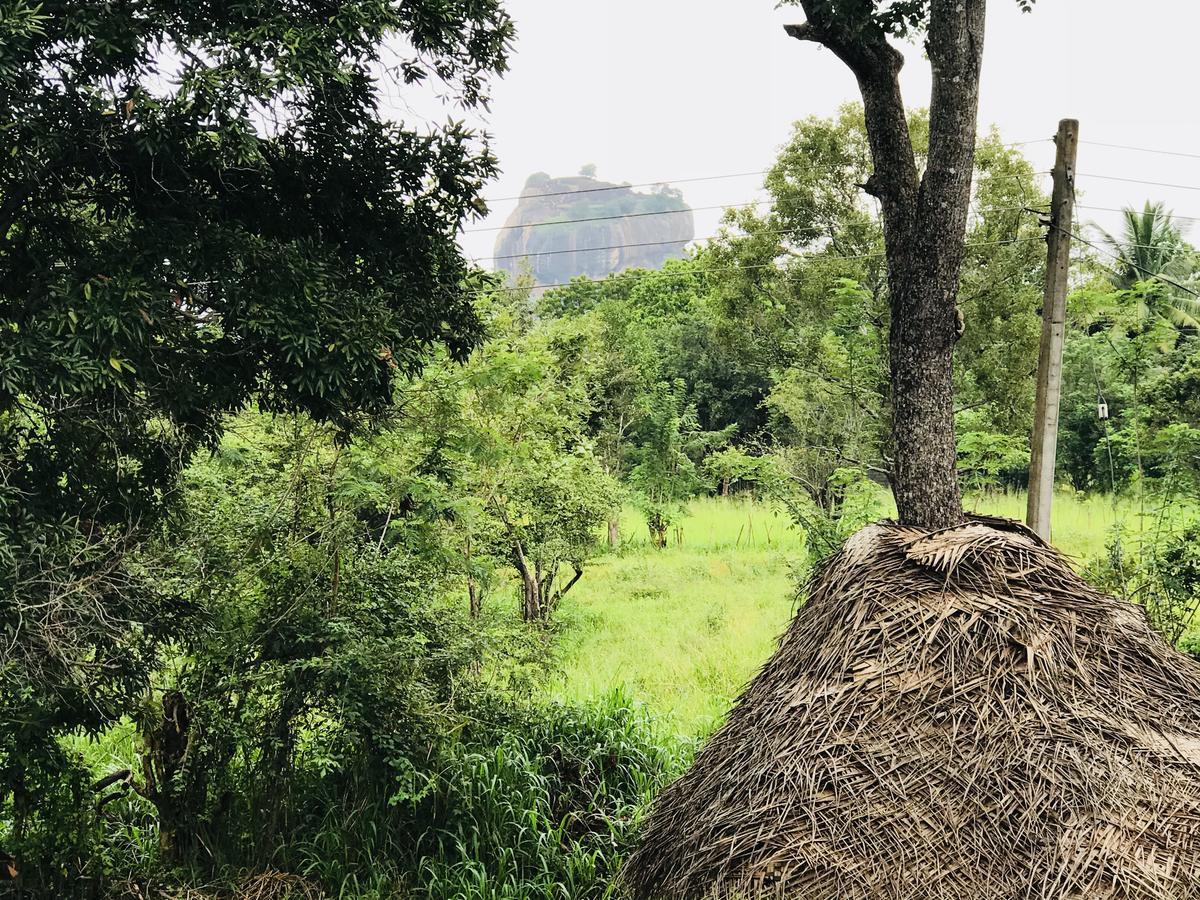 فندق Sigiriya Rock Hide المظهر الخارجي الصورة