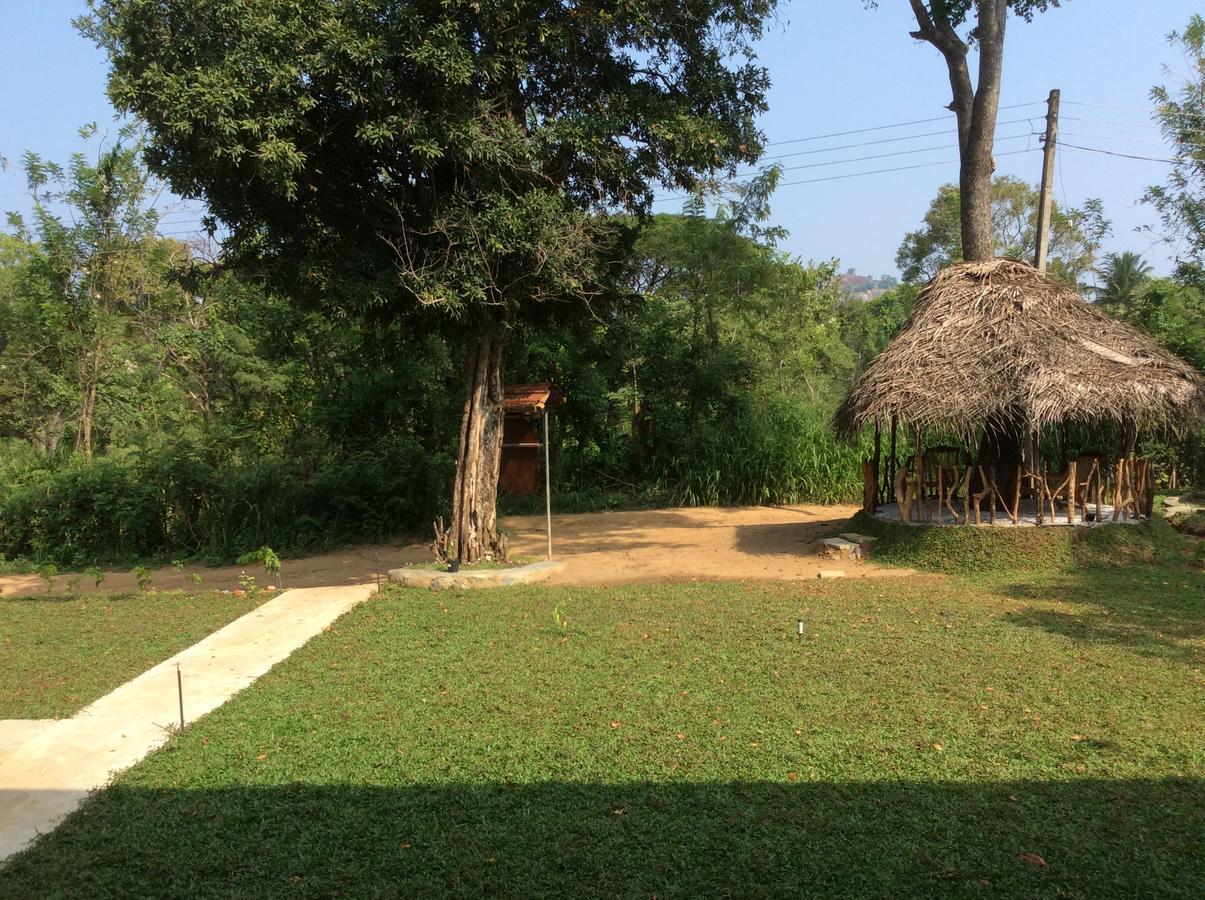 فندق Sigiriya Rock Hide المظهر الخارجي الصورة