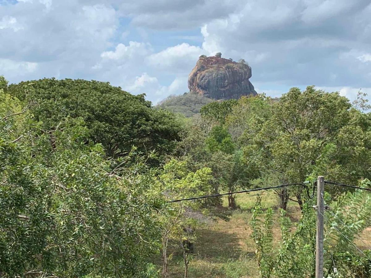فندق Sigiriya Rock Hide المظهر الخارجي الصورة