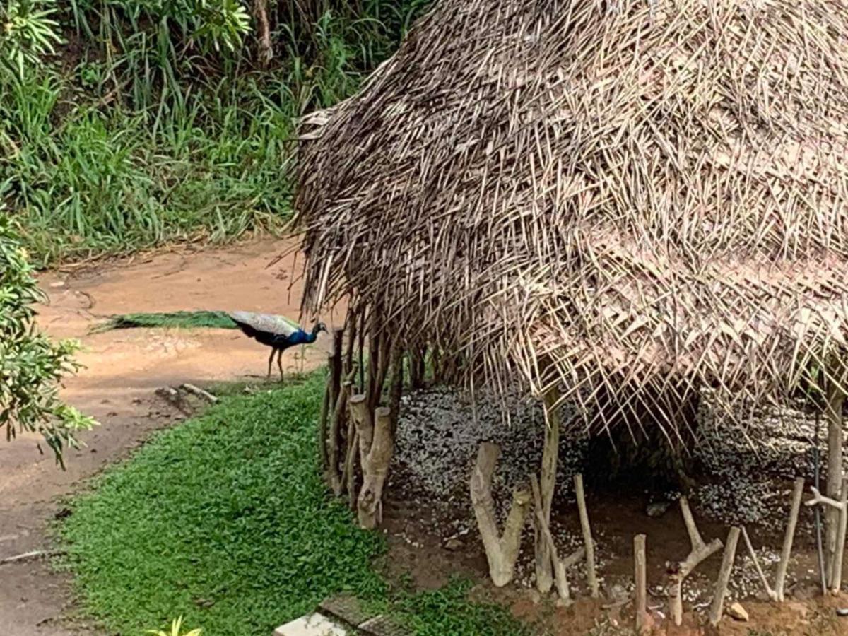 فندق Sigiriya Rock Hide المظهر الخارجي الصورة