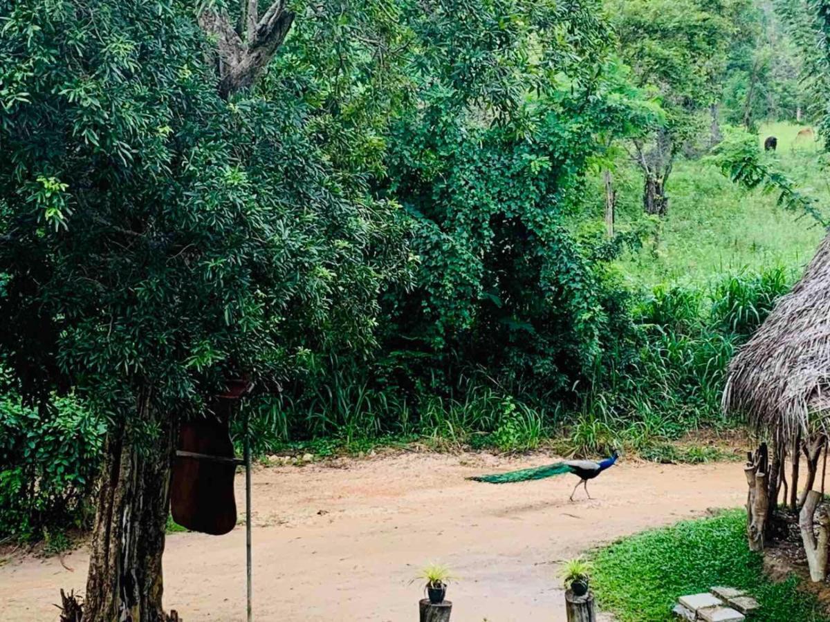 فندق Sigiriya Rock Hide المظهر الخارجي الصورة